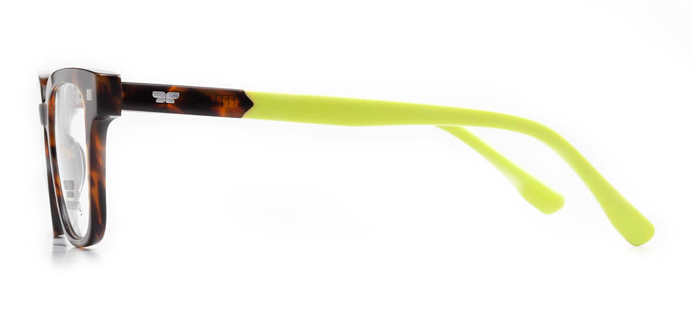 Olivewing OLW 1873-C2